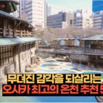 오사카에서 찾을 수 있는 7가지 맛있는 편의점 모험 12 무뎌진 감각을 되살리는 오사카 최고의 온천 추천 5