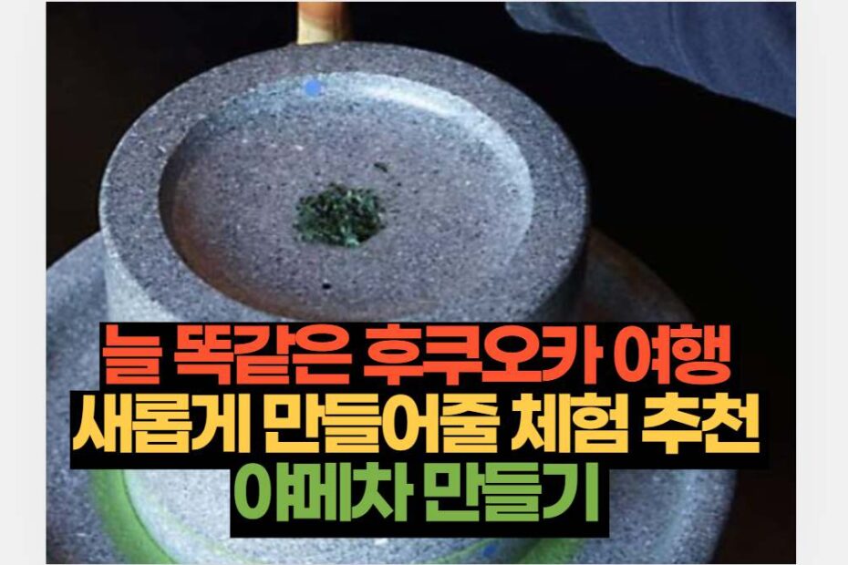 늘 똑같은 후쿠오카 여행  새롭게 만들어줄 체험 추천  야메차 만들기 
