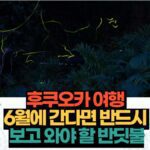 후쿠오카 여행  6월에 간다면 반드시  보고 와야 할 반딧불