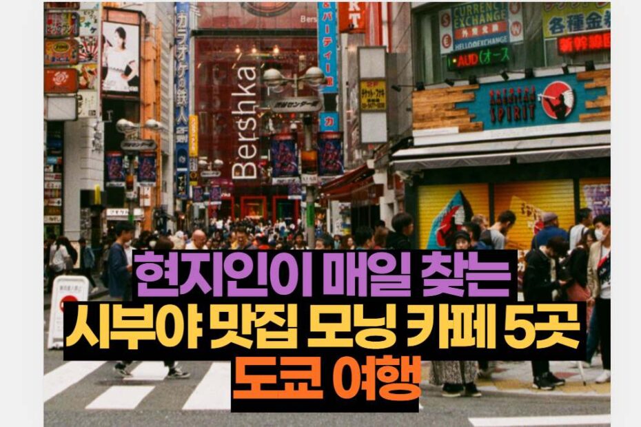현지인이 매일 찾는  시부야 맛집 모닝 카페 5곳  도쿄 여행