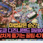 마법같은 순간  도쿄 디즈니랜드 퍼레이드 알차게 즐기는 꿀팁 4가지  