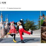 상하이 디즈니랜드 티켓