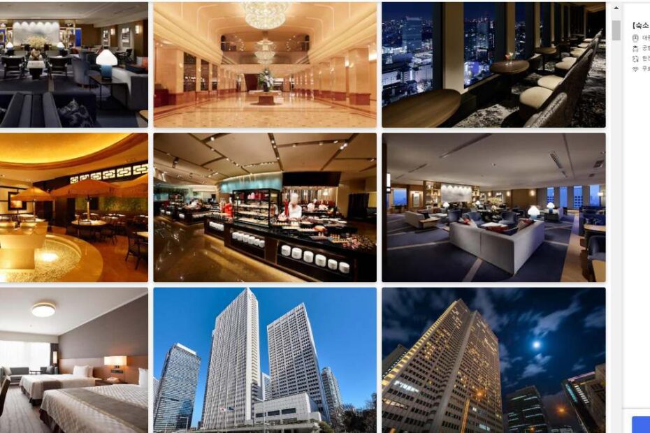 게이오 플라자 호텔 도쿄 (Keio Plaza Hotel Tokyo)