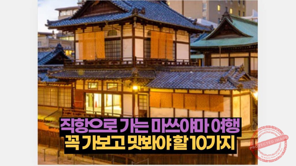 직항으로 가는 마쓰야마 여행 꼭 가보고 맛봐야 할 10가지 14 직항으로 가는 마쓰야마 여행 꼭 가보고 맛봐야 할 10가지