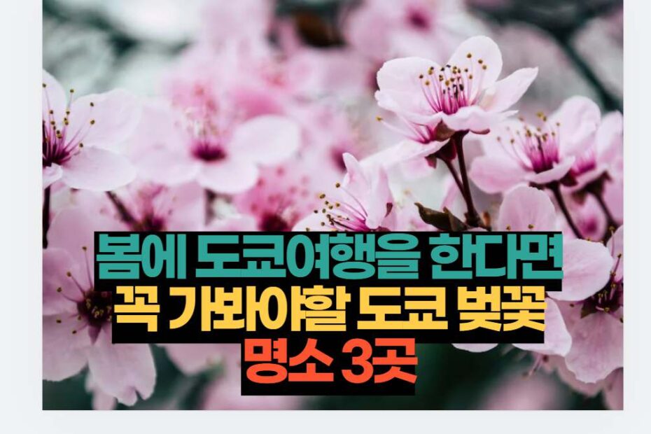 봄에 도쿄여행을 한다면 꼭 가봐야할 도쿄 벚꽃 명소 3곳